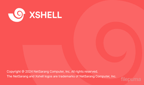 XShell终端模拟：如何自定义命令和操作界面？