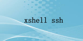 Xshell与服务器版本不兼容？协议与安全策略解析