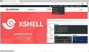 Xshell安全性提升与最佳实践指南
常见的3个问题,每个问题字数100字