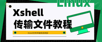 Xshell文件上传下载失败？SFTP与权限排查