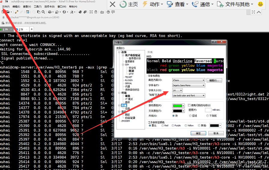 Xshell终端主题与字体设置优化指南