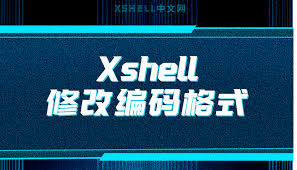 Xshell脚本执行乱码？编码格式与输出设置修复