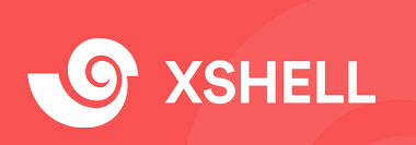 Xshell 大文件传输慢？优化传输速度的设置与技巧