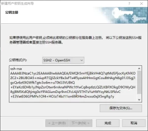 Xshell 密钥登录无法使用？公钥生成与授权排查指南？