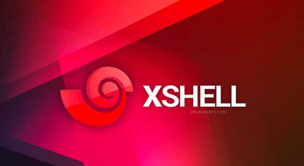 Xshell 脚本执行失败？自动化任务与命令调试方法