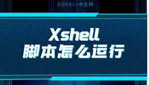 Xshell 脚本执行失败？自动化任务与命令调试方法