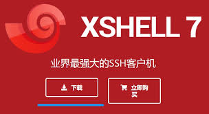 Xshell 远程打印命令失败？终端兼容性与环境变量设置