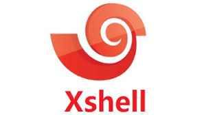 Xshell 远程打印命令失败？终端兼容性与环境变量设置