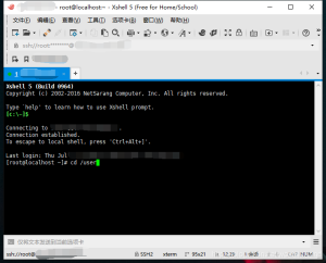 Xshell常见错误码及快速解决方案全解析？