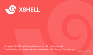 Xshell中文乱码怎么解决？三步恢复正常显示？